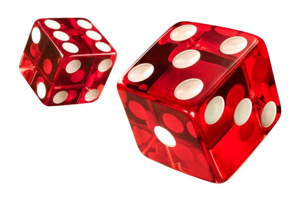 wazetoto 1 What Makes Bingo Stand Out